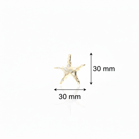 Cotations - Pendentif étoile en argent 925 et nacre blanche naturelle – Stella